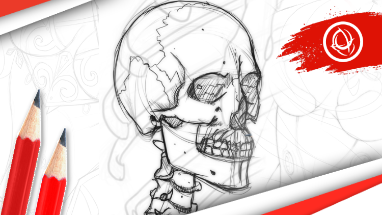 Anatomy Art School: The Complete Skeletal Drawing Course