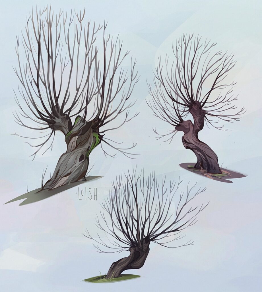 willows